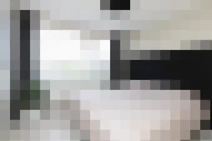 Gossepalen 143 Sneek thumbnail 25