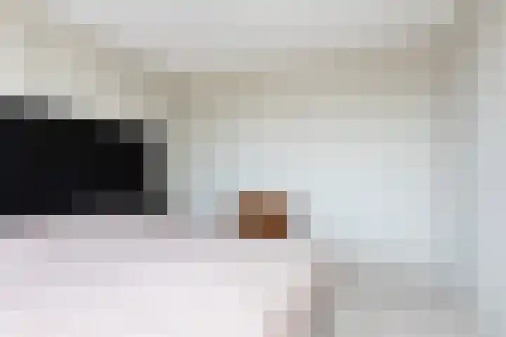 Gossepalen 143 Sneek thumbnail 26