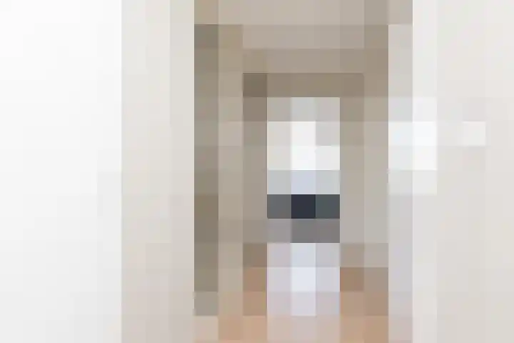 Gossepalen 143 Sneek thumbnail 28