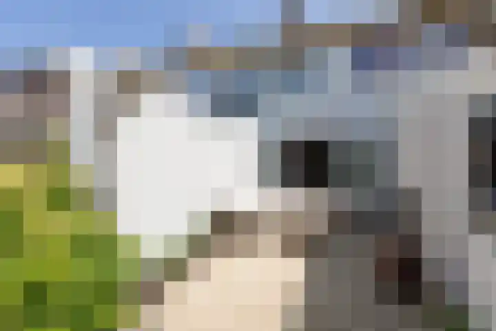 Gossepalen 143 Sneek thumbnail 32