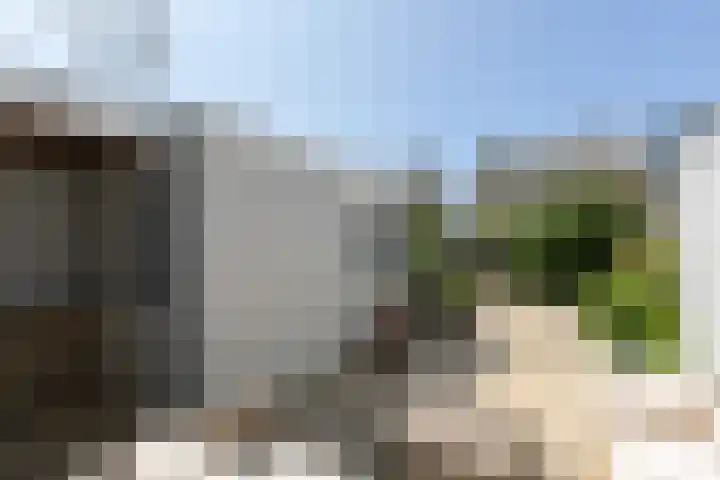 Gossepalen 143 Sneek thumbnail 33
