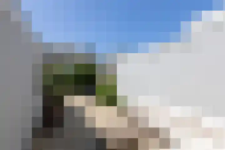 Gossepalen 143 Sneek thumbnail 34