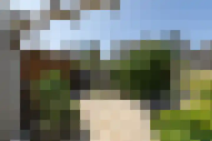 Gossepalen 143 Sneek thumbnail 35