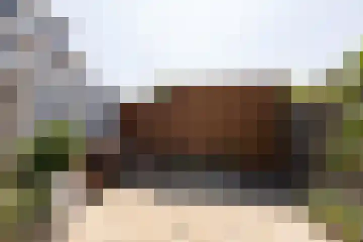 Gossepalen 143 Sneek thumbnail 36