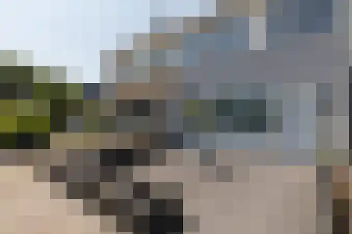 Gossepalen 143 Sneek thumbnail 39