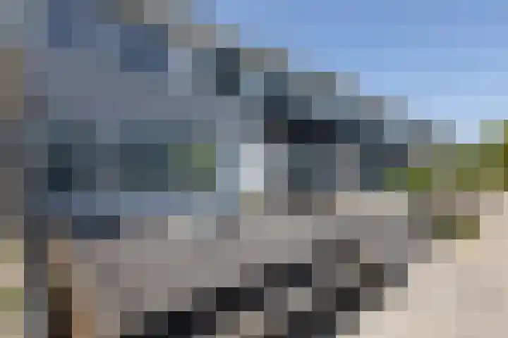 Gossepalen 143 Sneek thumbnail 40