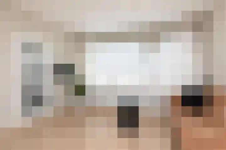 Gossepalen 143 Sneek thumbnail 6