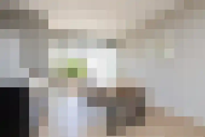 Gossepalen 143 Sneek thumbnail 8
