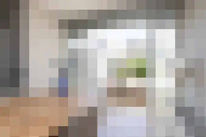 Gossepalen 143 Sneek thumbnail 9