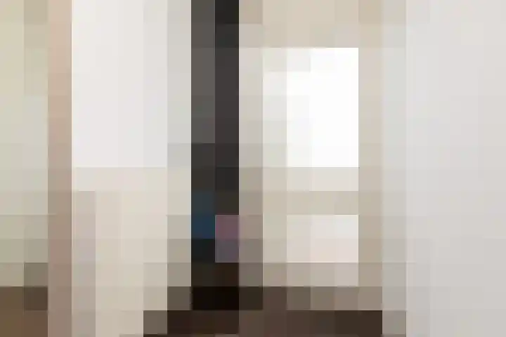 Gossepalen 147 Sneek thumbnail 12