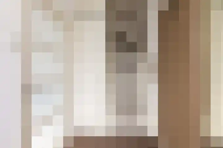 Gossepalen 147 Sneek thumbnail 13