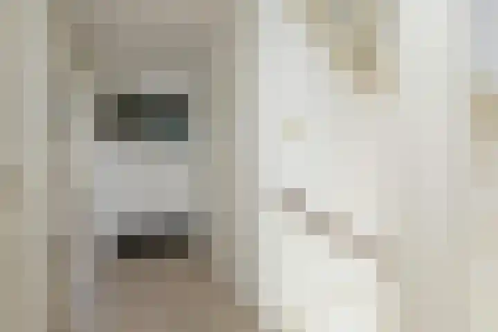 Gossepalen 147 Sneek thumbnail 14