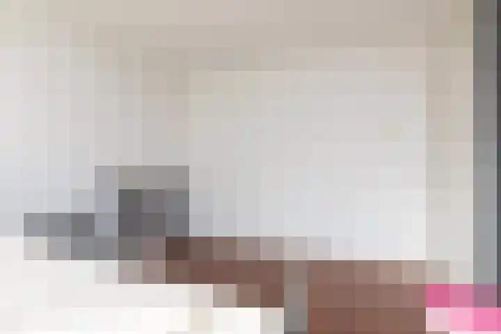 Gossepalen 147 Sneek thumbnail 16