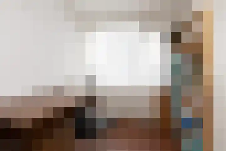 Gossepalen 147 Sneek thumbnail 17