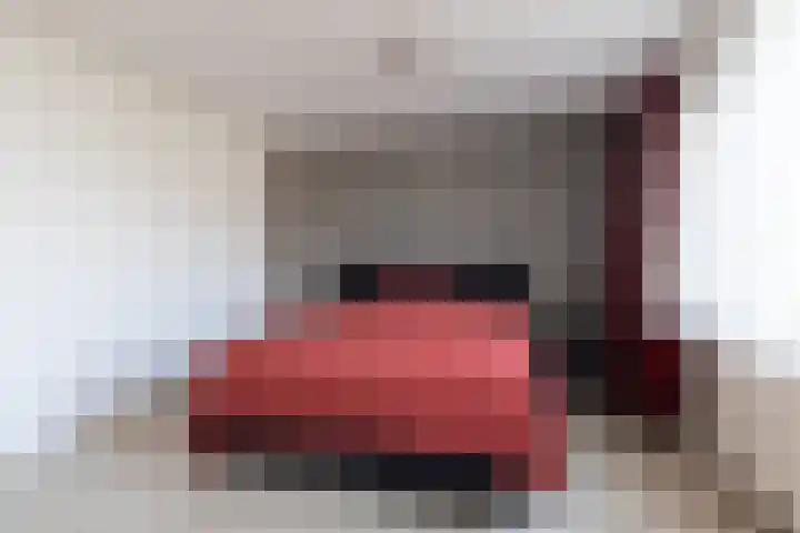 Gossepalen 147 Sneek thumbnail 18