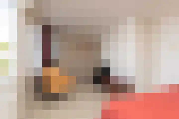 Gossepalen 147 Sneek thumbnail 19