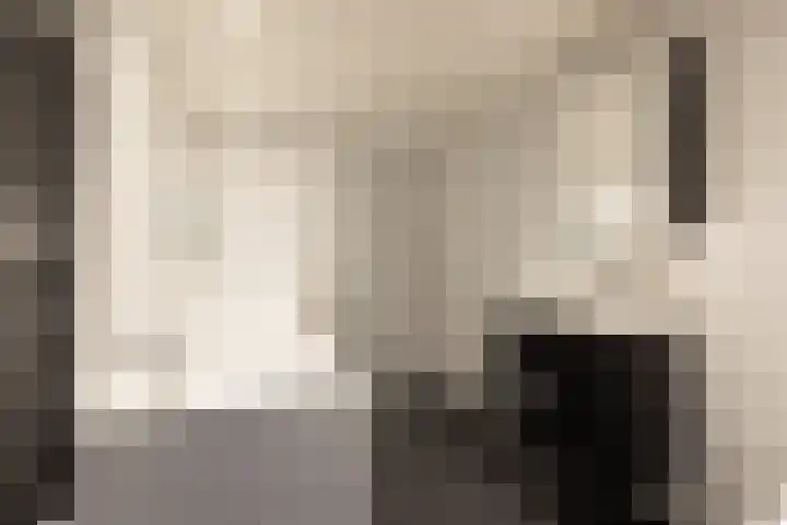 Gossepalen 147 Sneek thumbnail 20