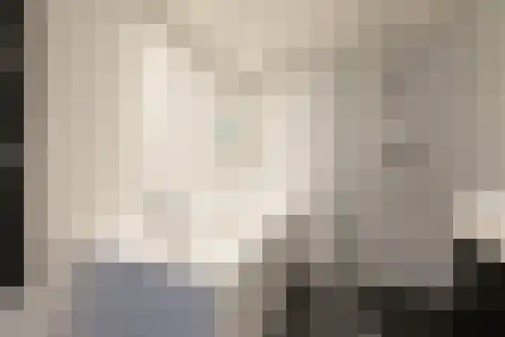 Gossepalen 147 Sneek thumbnail 21
