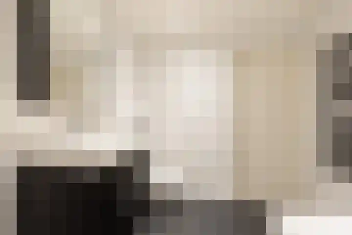 Gossepalen 147 Sneek thumbnail 22