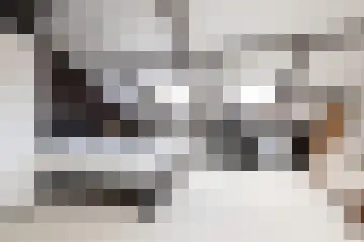 Gossepalen 147 Sneek thumbnail 24