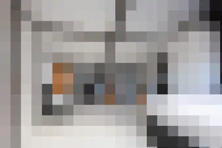 Gossepalen 147 Sneek thumbnail 25