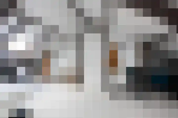 Gossepalen 147 Sneek thumbnail 26