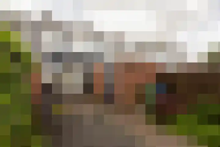 Gossepalen 147 Sneek thumbnail 27