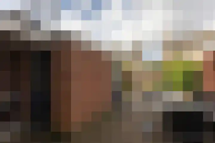 Gossepalen 147 Sneek thumbnail 28