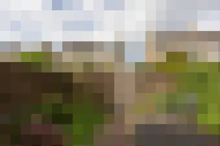 Gossepalen 147 Sneek thumbnail 30