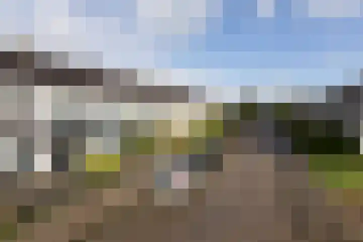Gossepalen 147 Sneek thumbnail 32