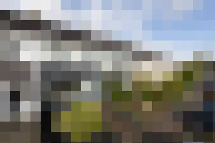 Gossepalen 147 Sneek thumbnail 33