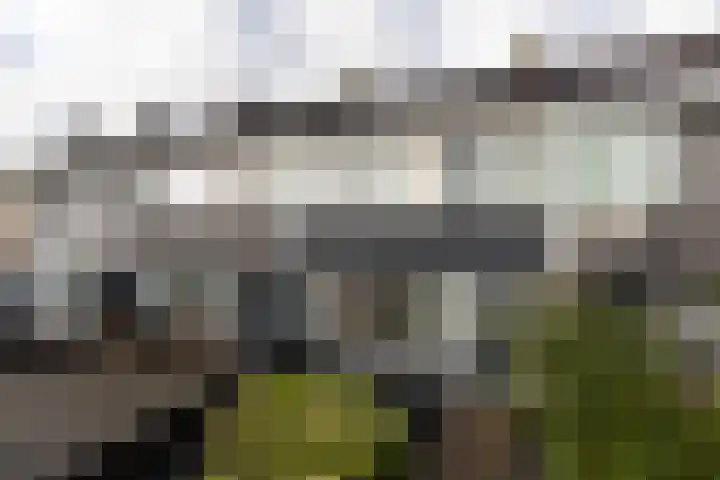 Gossepalen 147 Sneek thumbnail 34