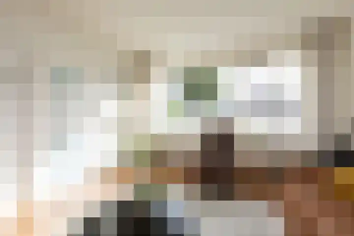 Gossepalen 147 Sneek thumbnail 4