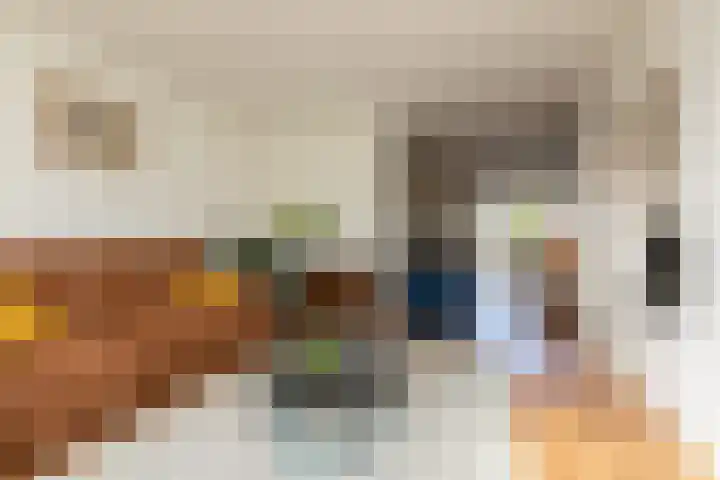 Gossepalen 147 Sneek thumbnail 5