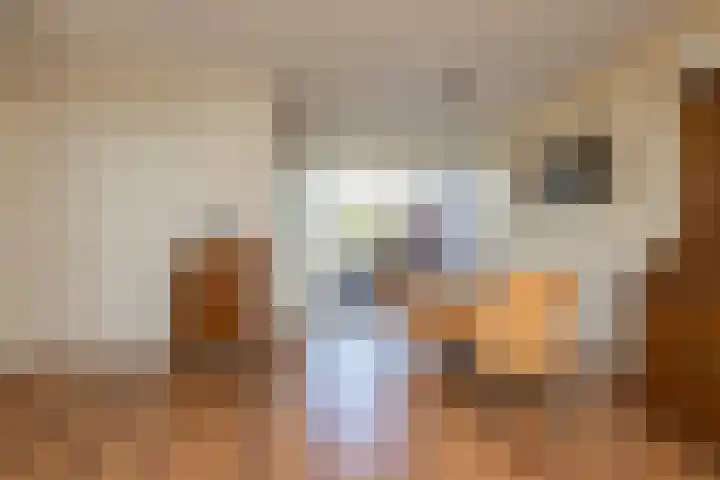 Gossepalen 147 Sneek thumbnail 6