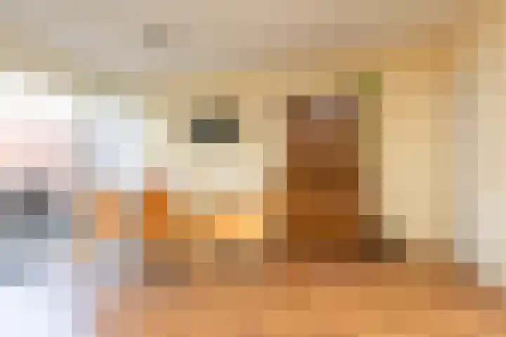 Gossepalen 147 Sneek thumbnail 7