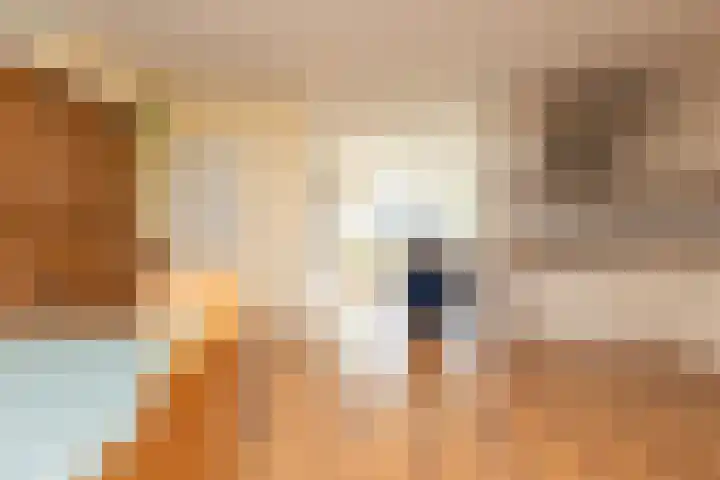 Gossepalen 147 Sneek thumbnail 8