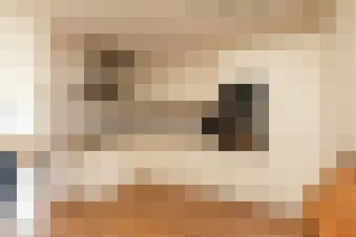 Gossepalen 147 Sneek thumbnail 9