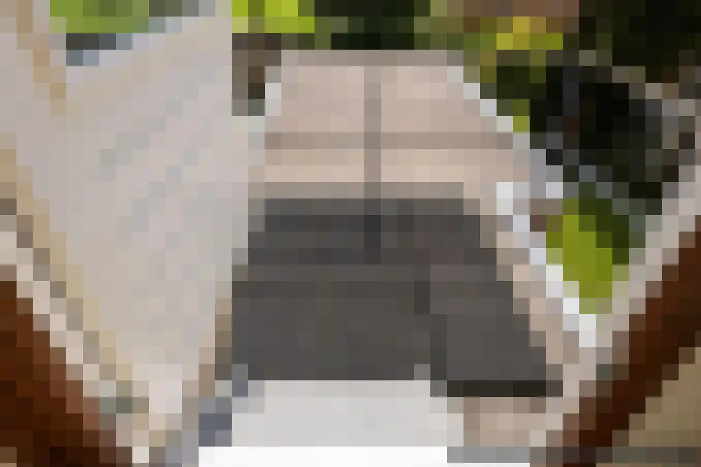 Gossepalen 18 Sneek thumbnail 12