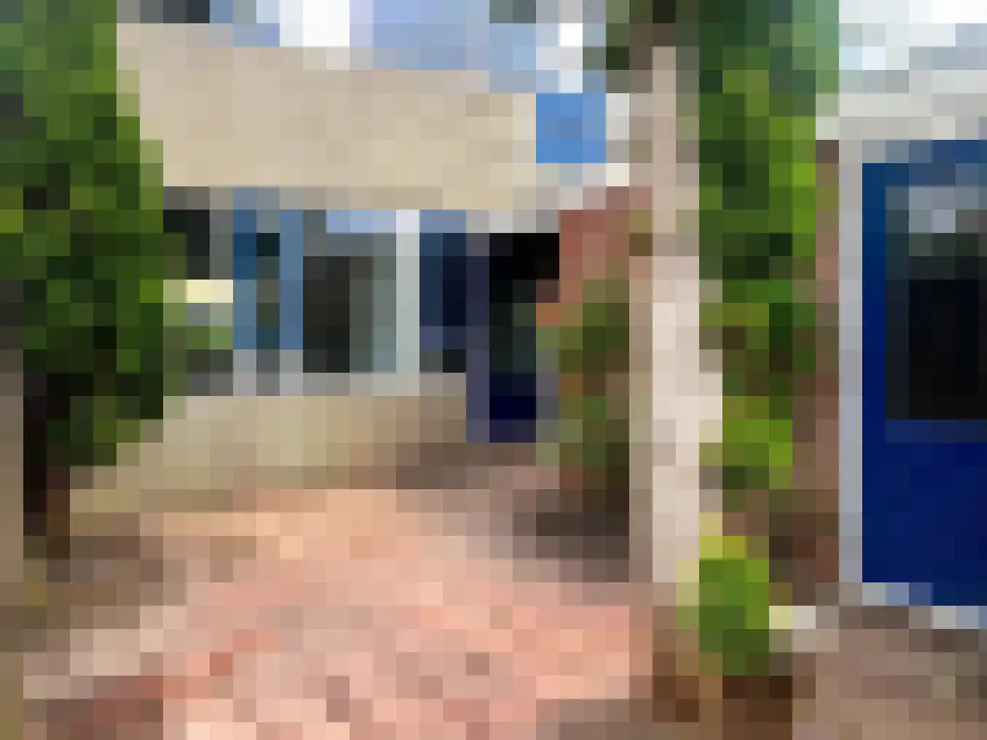 Gossepalen 18 Sneek thumbnail 20
