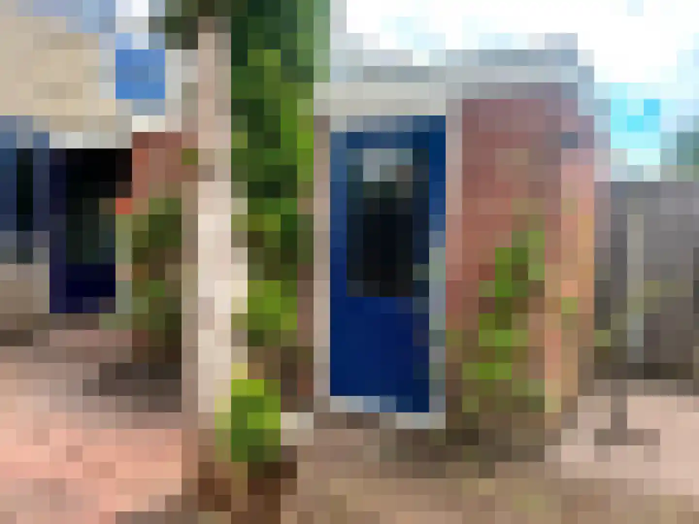 Gossepalen 18 Sneek thumbnail 21