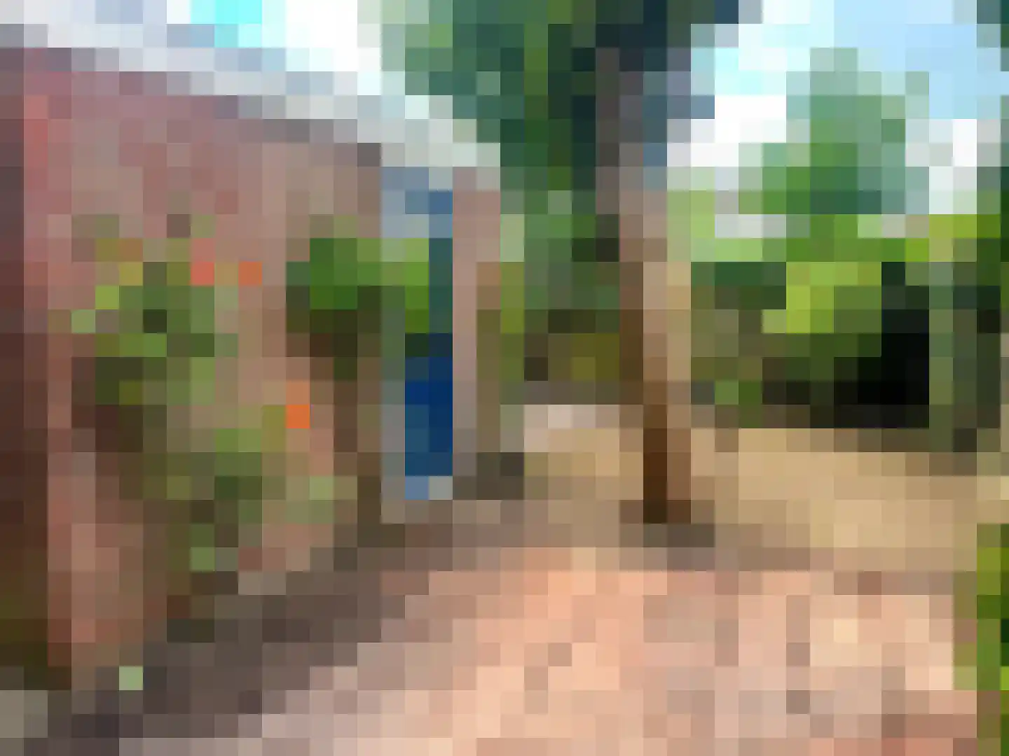 Gossepalen 18 Sneek thumbnail 22