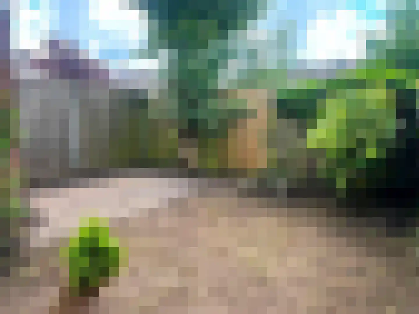 Gossepalen 18 Sneek thumbnail 23