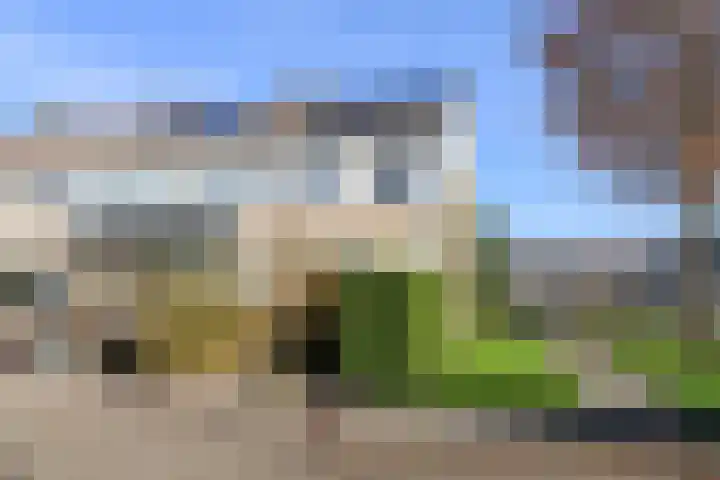 Gossepalen 2 Sneek
