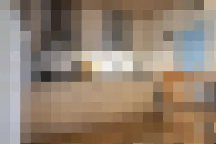Gossepalen 2 Sneek thumbnail 14
