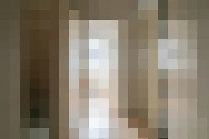 Gossepalen 2 Sneek thumbnail 16