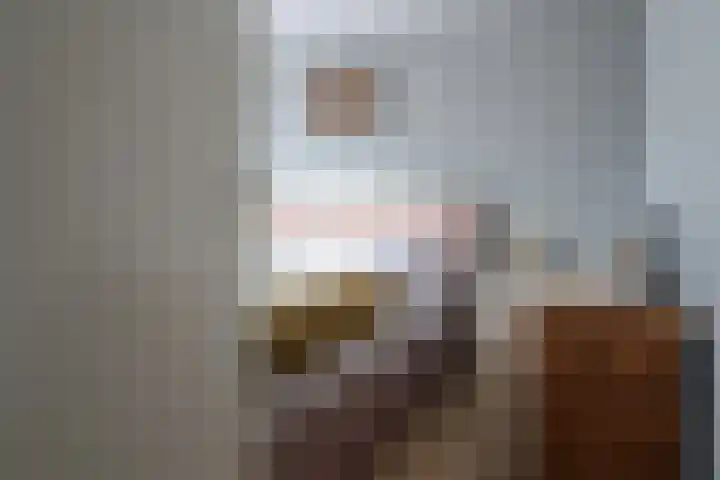 Gossepalen 2 Sneek thumbnail 18