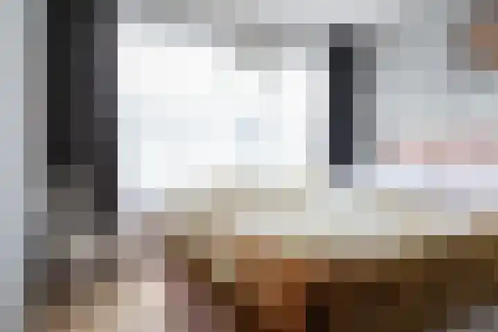 Gossepalen 2 Sneek thumbnail 19