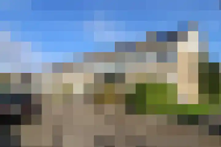 Gossepalen 2 Sneek foto 2