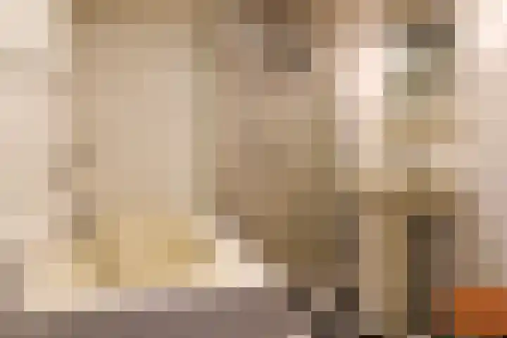 Gossepalen 2 Sneek thumbnail 20